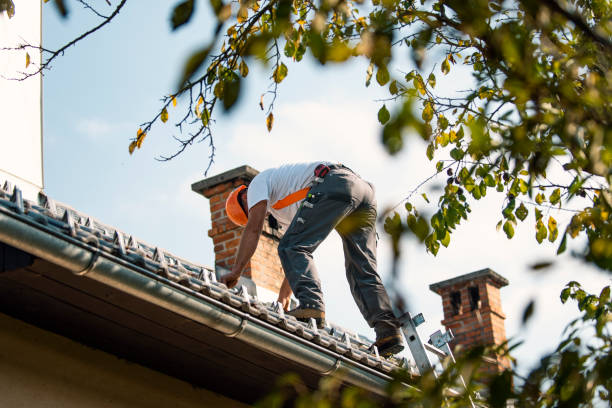 Best Roof Ventilation Installation  in Woodbine, NJ