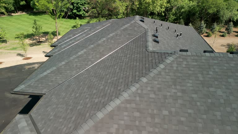 Best Roof Maintenance and Cleaning  in Woodbine, NJ